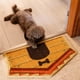 thumbnail image 4 of Alfombra de Entrada Fisura 70 × 40 cm de Fibra de Coco con Diseño de Casa de Perro, 4 of 7