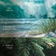 thumbnail image 3 of Vela WoodWick Driftwood Shores 454 g con Mecha Crujiente, 3 of 8