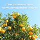 thumbnail image 4 of Té de yuzu coreano con miel y citron en rebanadas UNHA'S 1 kg con yuzu real, 4 of 9