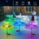 thumbnail image 3 of Outdoor LED Waterproof Solar Jellyfish Fiber Optic Light, Garden Lawn Light, For Courtyard Atmosphere Decoration, 3 of 4