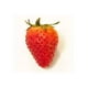 thumbnail image 1 of sabor 1, 1 of 2