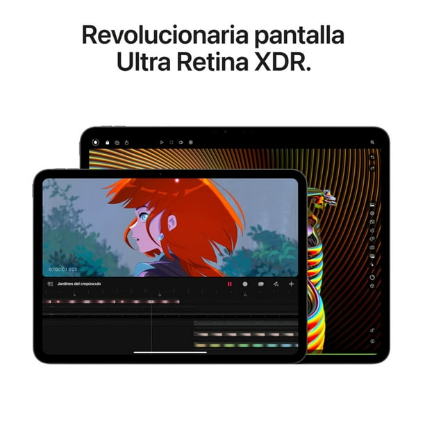 iPad Pro 13 M4 Wi-Fi + Cellular pantalla estandar 256GB negro