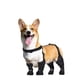 thumbnail image 1 of Botas de perro de invierno Leggings con suela antideslizante para perros pequeños y medianos, protector de patas, perfecto para caminar al aire libre, senderismo, zapatos impermeables y anti, 1 of 3