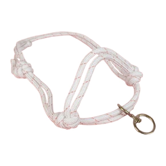 Halter De Vaca, Granjas Profesionales, Arnés De Cabeza De Toro, Accesorios Para Pantorrilla, Brida De Toro Pequeña