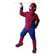 thumbnail image 3 of Disfraz de Hombre Araña o Spiderman Niños, 3 of 3