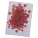 thumbnail image 2 of 6 pedazos de flores de zanahoria secada reales naturales presionadas de la flor para el arte rosado, 2 of 3