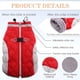 thumbnail image 3 of Abrigos de invierno para perros, chaleco polar con arnés incorporado, traje de nieve para perros para clima frío, chaqueta acolchada de invierno para perros a prueba de viento (rojo), 3 of 6