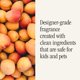 thumbnail image 4 of Recarga de Fragancia para Difusor Pura Simmer Pot 2 Paquetes, 4 of 7