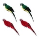 thumbnail image 2 of Juego De 4 Estatuas De Loro De 35 Cm, Figuritas De Guacamayo, Escultura Para Exteriores, Adorno De Pared, 2 of 5