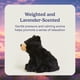 thumbnail image 3 of Animal de peluche Warmies Black Bear, apto para microondas y pesado, 3 of 6