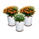thumbnail image 3 of Set de 3 Macetas Zaia 20 cm Blanco Matte y sus platos, 3 of 3