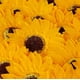 thumbnail image 5 of Pack 50 Unid Girasol De Jabón Para Decoraciones, 5 of 8