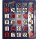 thumbnail image 1 of Cartones de Bingo HAYES SPECIALTIES Jumbo Azul - Pack de 10, 1 of 1