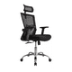 thumbnail image 1 of Silla de oficina presidente Ergonomus Delphi base cromada color negro, 1 of 3