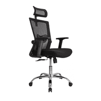 Genérico - Silla De Oficina Presidente Ergonomus Delphi Base Cromada Color Negro