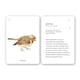 thumbnail image 4 of Fíjate: Pájaros. Guía para iniciar la observación, 4 of 8