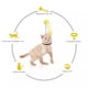 thumbnail image 4 of Juguete Telescopico Interactivo Para Mascotas Gatos, 4 of 5