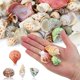 thumbnail image 4 of Sea Shells WEOXPR, 200 unidades, playa mixta, océano, para manualidades y niños, 4 of 6