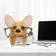 thumbnail image 1 of Songmu Printed Small Animal Display Rack - Perfect for Eyeglass Storage!, 1 of 5