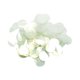 thumbnail image 2 of 130 Piezas De Lentejuelas Redondas Sueltas DIY, Lentejuelas Planas Para Hacer Joyas, Transparentes, 2 of 5
