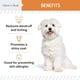 thumbnail image 3 of Aceite Omega3 300 Mg 180 Mini Softgels Para Perros Pequeños, 3 of 3