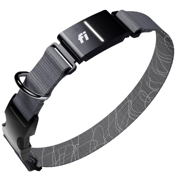 Collar Rastreador para Perros Fi Serie 3+ GPS Impermeable Gris