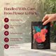 thumbnail image 4 of Té de hibisco orgánico PiPi Tea 60 g sin cafeína, 4 of 9