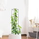thumbnail image 5 of Soporte para enrejado de plantas de jardín, soporte para estacas trepadoras, soporte para enredaderas, 5 of 8