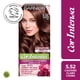 thumbnail image 1 of Coloración Cor Intensa Garnier Cabello 5.52 Castaño Claro Caoba, 1 of 1