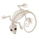 thumbnail image 3 of PVC Animal Esqueleto Huesos Horror Halloween Hogar Casa Encantada Decoración-Gecko, 3 of 6