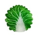 thumbnail image 2 of Wrap Your Little One in a Cozy and Cute Simulation Chinese Cabbage Blanket - Perfect for Sleeping, Swaddling, and Photoshoots!, 2 of 4