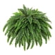 thumbnail image 5 of Planta Artificial De Helecho Artificial Para Oficina, Jardín, Boda, 1 Unidad, 5 of 5
