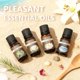 thumbnail image 4 of Kit para hacer velas Aroparc con olla de fusión de 1,2 L y cera de soja, 4 of 7