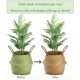 thumbnail image 4 of Cesta Yesland para almacenamiento de plantas de hierba marina tejida, 30 x 27 cm, tamaño L, 4 of 7