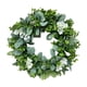 thumbnail image 2 of Guirnalda De 42 Cm, Guirnalda Colgante Artificial, Planta Verde, Boda, Decoración Del Hogar, Blanco, 2 of 5