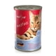 thumbnail image 1 of Alimento para gato Pouch Adulto Salmon, 1 of 1