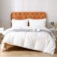 thumbnail image 2 of Edredón Oaken-Cat Twin 173 × 229 cm de Plumón y Pluma, 2 of 9