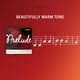 thumbnail image 4 of Cuerda para violonchelo D'Addario Prelude A, escala 1/4, tensión media, 4 of 5