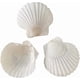 thumbnail image 1 of Vieira Natural Sea Shells 6 8 Cm Blanca 30 Unidades, 1 of 9