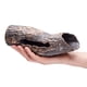 thumbnail image 3 of Escultura Plecoceramics 20 cm × 6 cm × 6 cm, 3 of 9