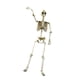 thumbnail image 2 of Adorno De Esqueleto De Terror Para Halloween, Flexible, Para Fiestas Al Aire Libre, Festivales, 40 Cm, 2 of 5
