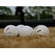 thumbnail image 4 of Pelota de béisbol Wiffle Ball, marca original, tamaño reglamentario, 24 unidades, 4 of 9