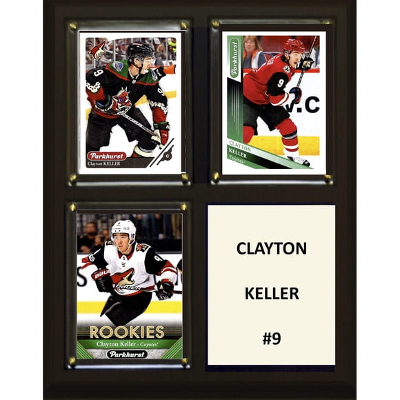 Placa C&I Collectables NHL Arizona Coyotes color café 20 x 25 cm