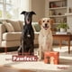 thumbnail image 3 of Bolsas Pawfect Biodegradables Antiderrame 240 Unidades 33 x 23 cm, 3 of 3