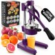 thumbnail image 1 of Exprimidor Zulay Kitchen de Hierro Fundido de Alta Resistencia 13 cm, 1 of 9
