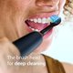 thumbnail image 3 of Philips Sonicare C3 Two-in-One Brush Heads, 4 Pack, 1 Year Supply, 3 of 3