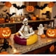 thumbnail image 4 of Figura decorativa esqueleto en flotador halloween, 4 of 4