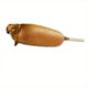 thumbnail image 1 of Corn Dog Sticker Vinyl Waterproof Sticker Decal Car Laptop Wall Window Bumper Sticker Car Accessories, 1 of 2
