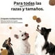thumbnail image 5 of Alimento para perro adulto 16Kg, 5 of 6