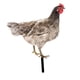 thumbnail image 4 of Estatua De Jardín De Pollo, Estaca, Adorno De Césped Para Gallina, Regalo Exterior, Patio De Gallo, Estilo Artístico B, 4 of 5